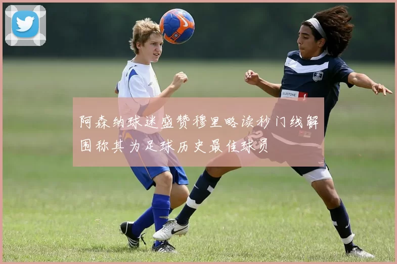 阿森纳球迷盛赞穆里略读秒门线解围称其为足球历史最佳球员